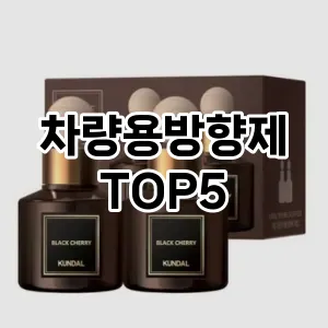 차량용방향제 추천 TOP5 가성비 제품