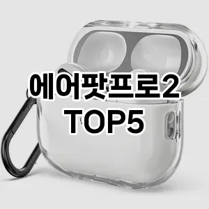 에어팟프로2 추천 TOP5 가격비교