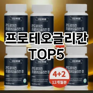 프로테오글리칸 추천 TOP5 지금 확인하세요