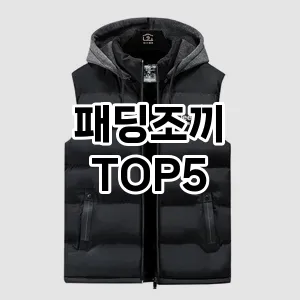 패딩조끼 추천 TOP5 가격비교